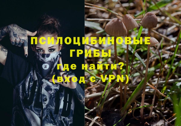 мескалин Армянск