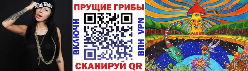 Галлюциногенные грибы мухоморы  где купить наркотик  Терек 