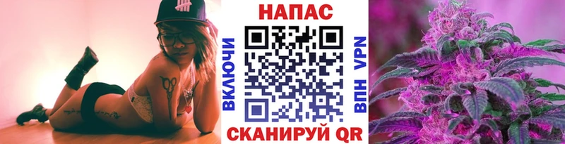 мега маркетплейс  Терек  Канабис OG Kush  где найти  